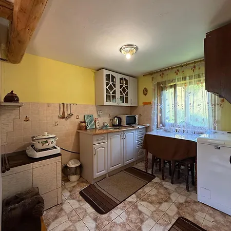 Forest House * Nizhniy Studenyy