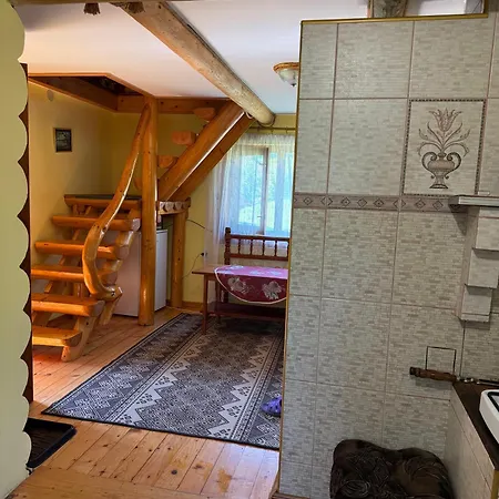 Forest House * Nizhniy Studenyy