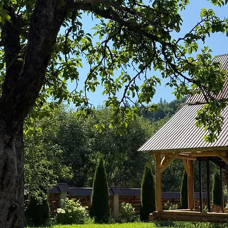 Forest House Nizhniy Studenyy