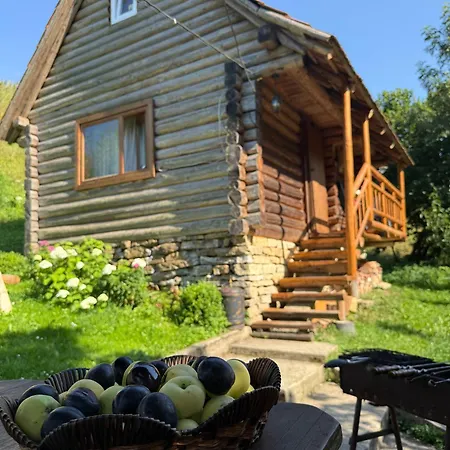 Forest House *