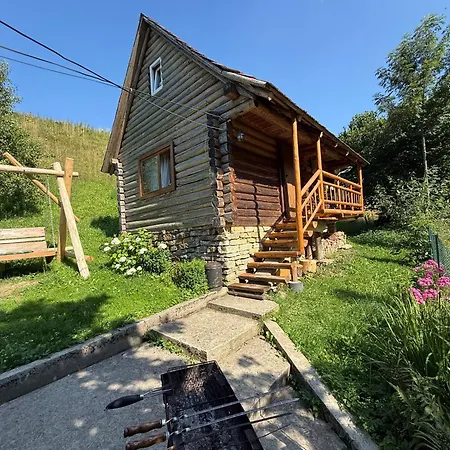 Forest House Dom wakacyjny Nizhniy Studenyy