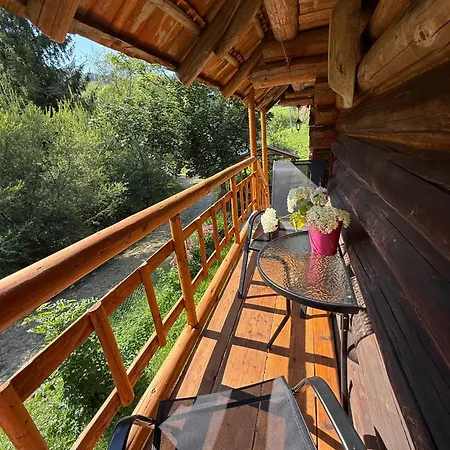 Forest House * Nizhniy Studenyy